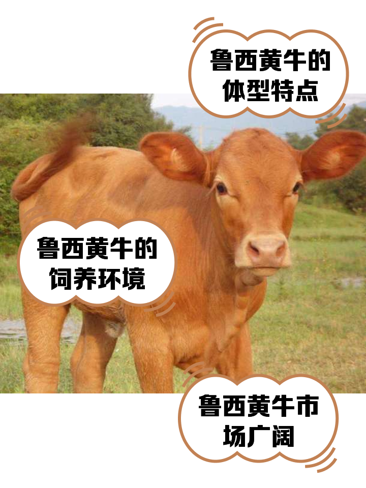 德宏最新医保取现黄牛方法分析(最方便真实的德宏医保取现黄牛怎么取方法)